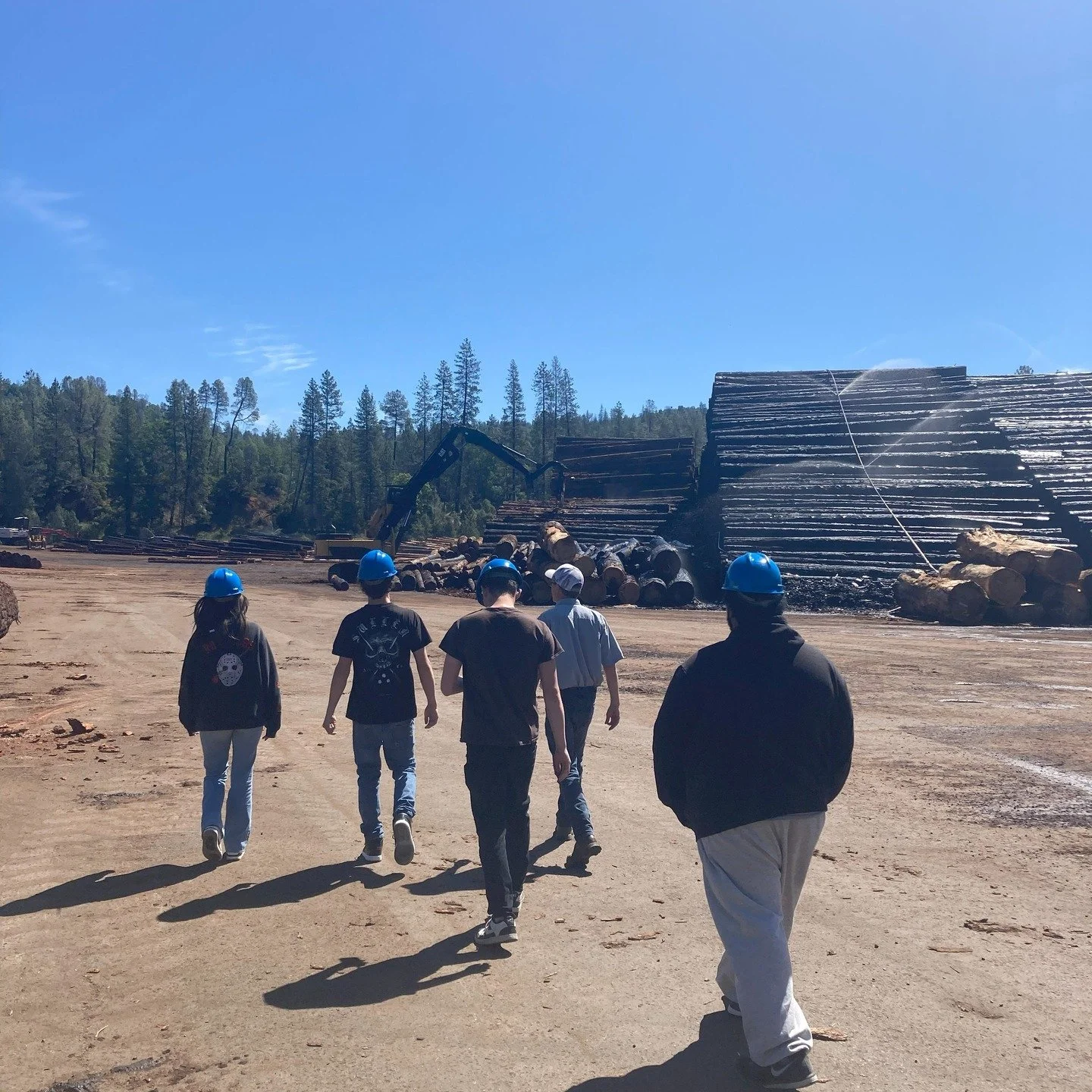 Last Thursday, four Trinity Alps View high school students embarked on an eye-opening tour of the Trinity River Lumber Company mill right here in Weaverville! They were led all throughout the lumberyard, mill, and filing room where the numerous saws 