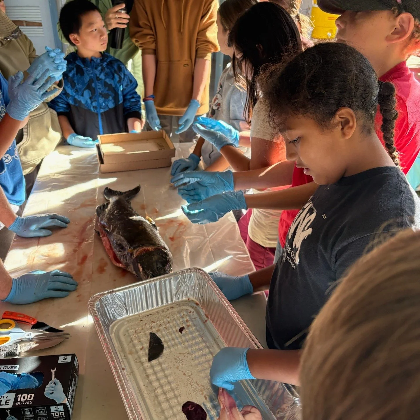 The Salmon Gathering Education Days in Hyampom were filled with outdoor learning and play! We were so pleased to help out on November 13th and 14th when the Watershed Center hosted 153 fifth and sixth graders from five Trinity County Elementary Schoo