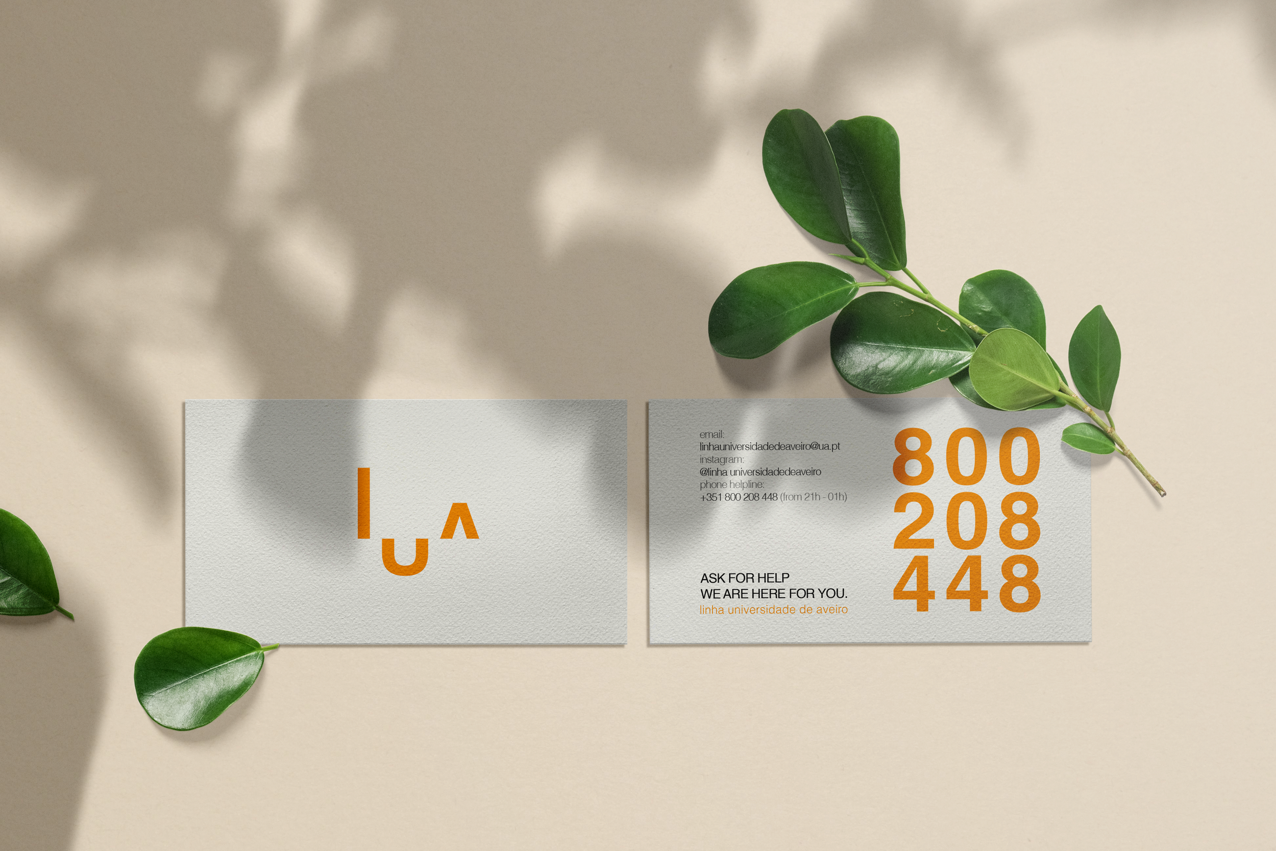 Clean_minimal_business_card_Vol_250.png