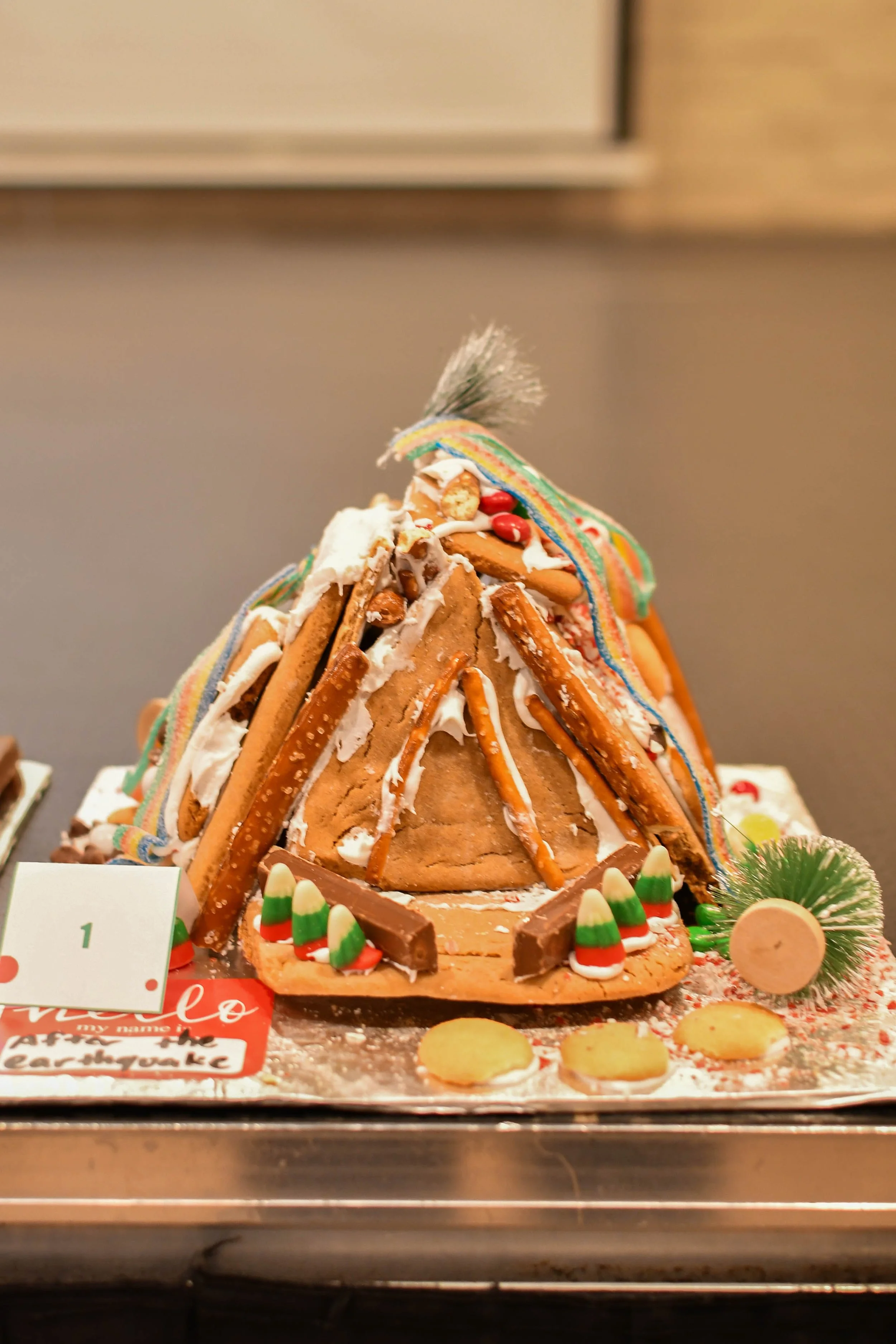 Knighton Before Christmas-31.jpg