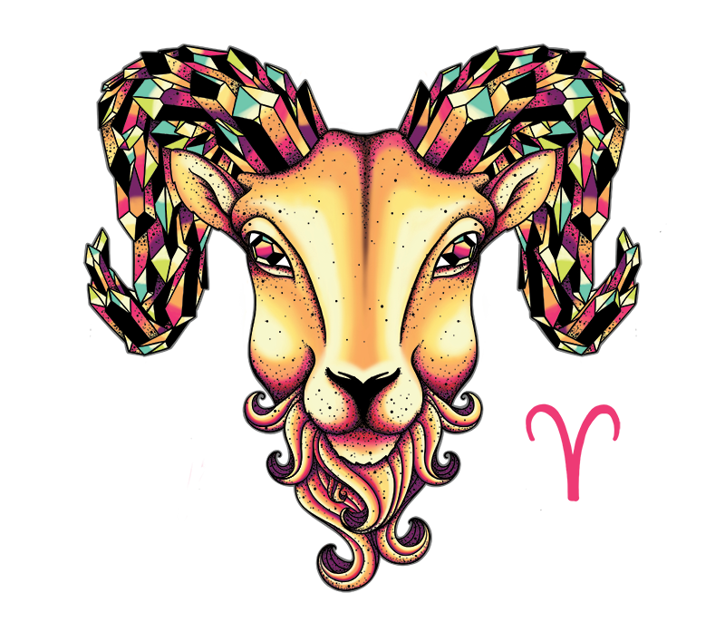 aries_mockup.png
