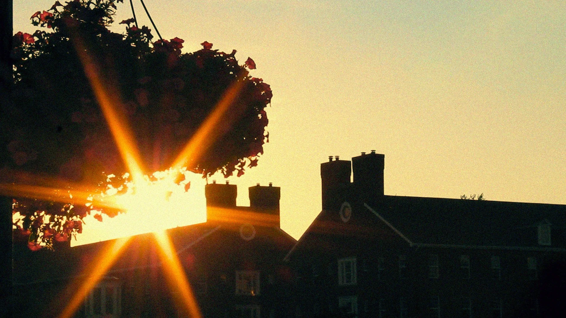 Sequence 01.00_22_01_10.Still020(Grain).jpg