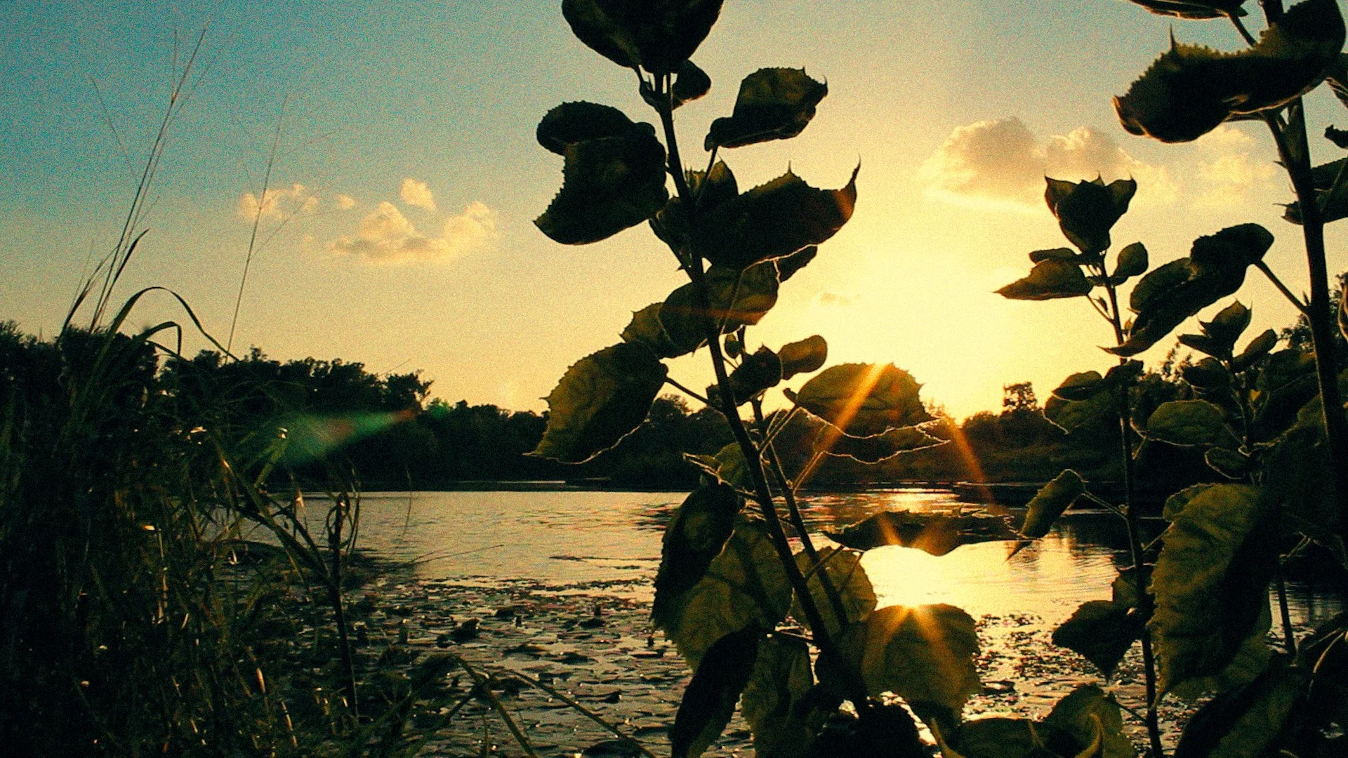 Sequence 02.00_12_40_25.Still021(Grain).jpg