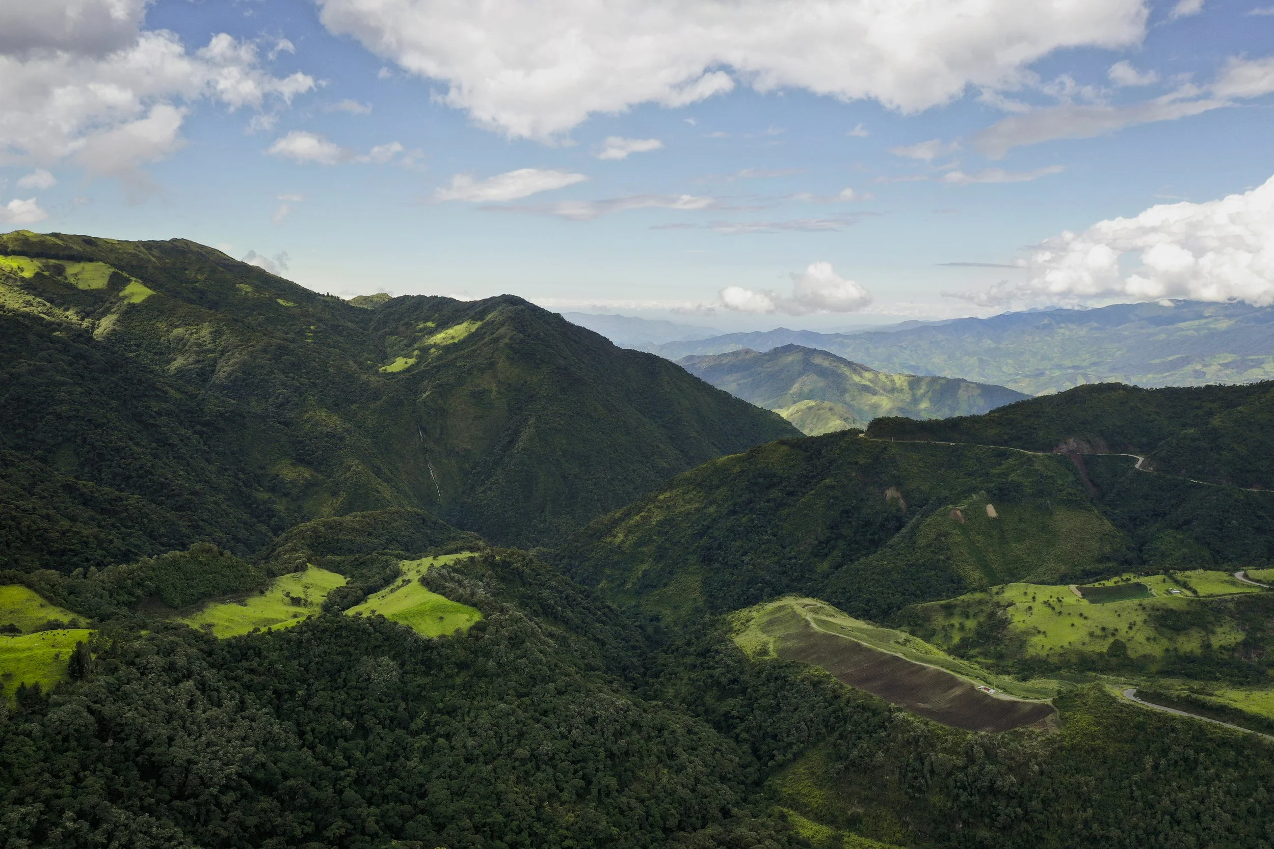 Copy of DJI_0801.jpg