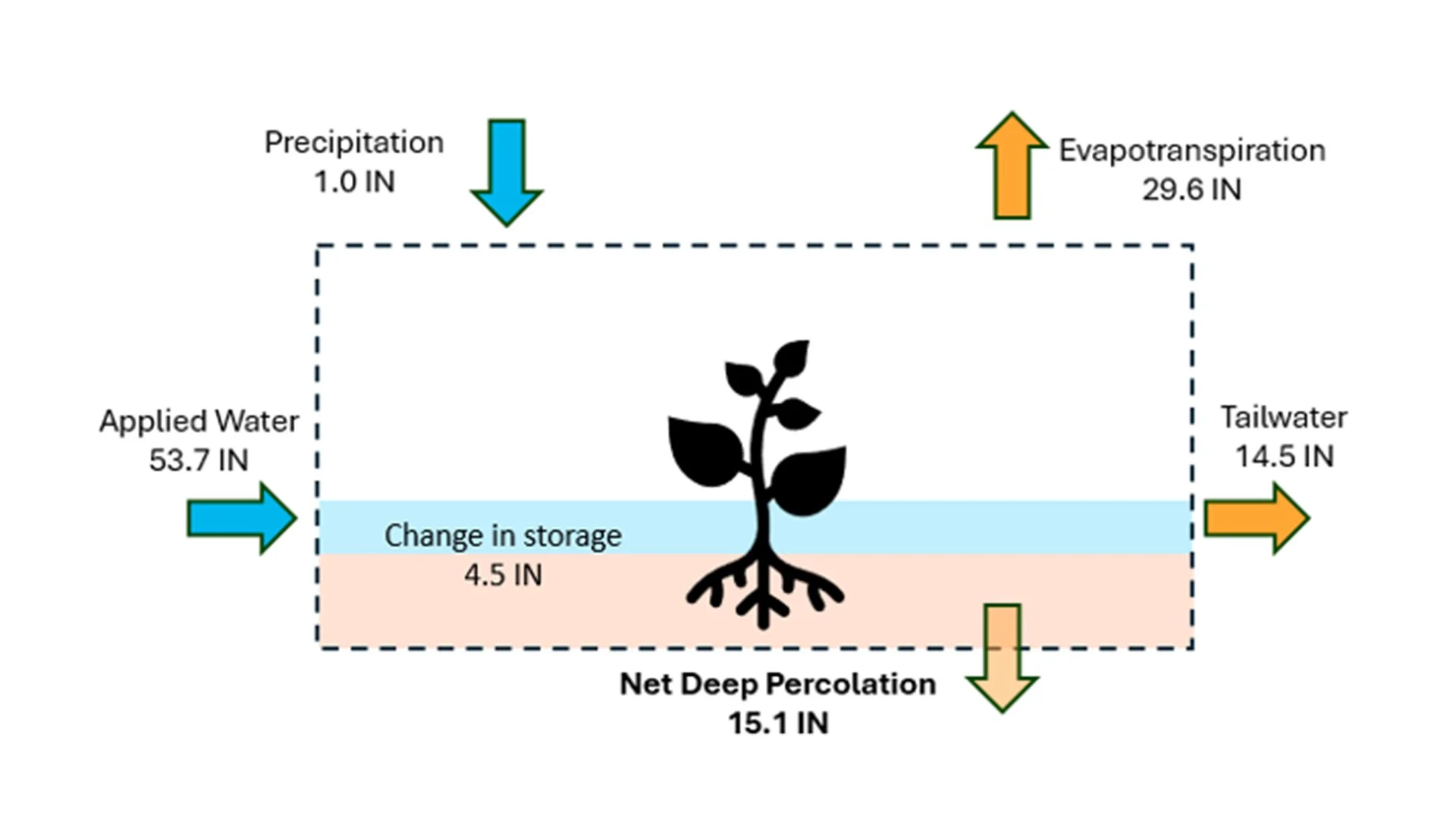 Figure 1. Field scale water budget diagram representing all inflows (applied water and precipitation), outflows (evapotranspiration, tailwater, and net deep percolation), and changes in water storage in rice fields