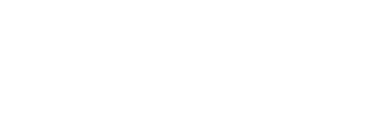feiyu.png