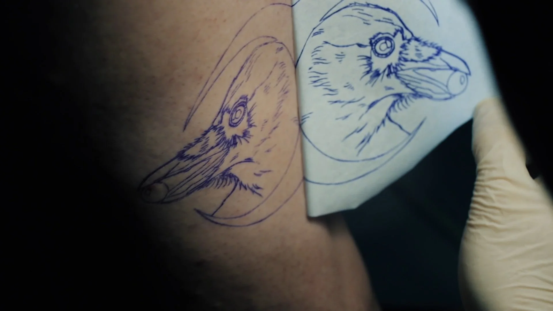 Still 2025-04-02 201658_1.2.4.jpg