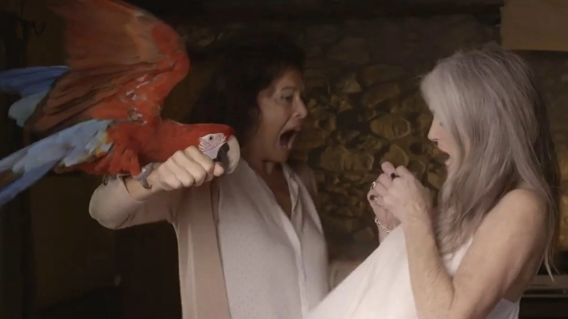 Still 2025-04-02 201840_1.8.1.jpg