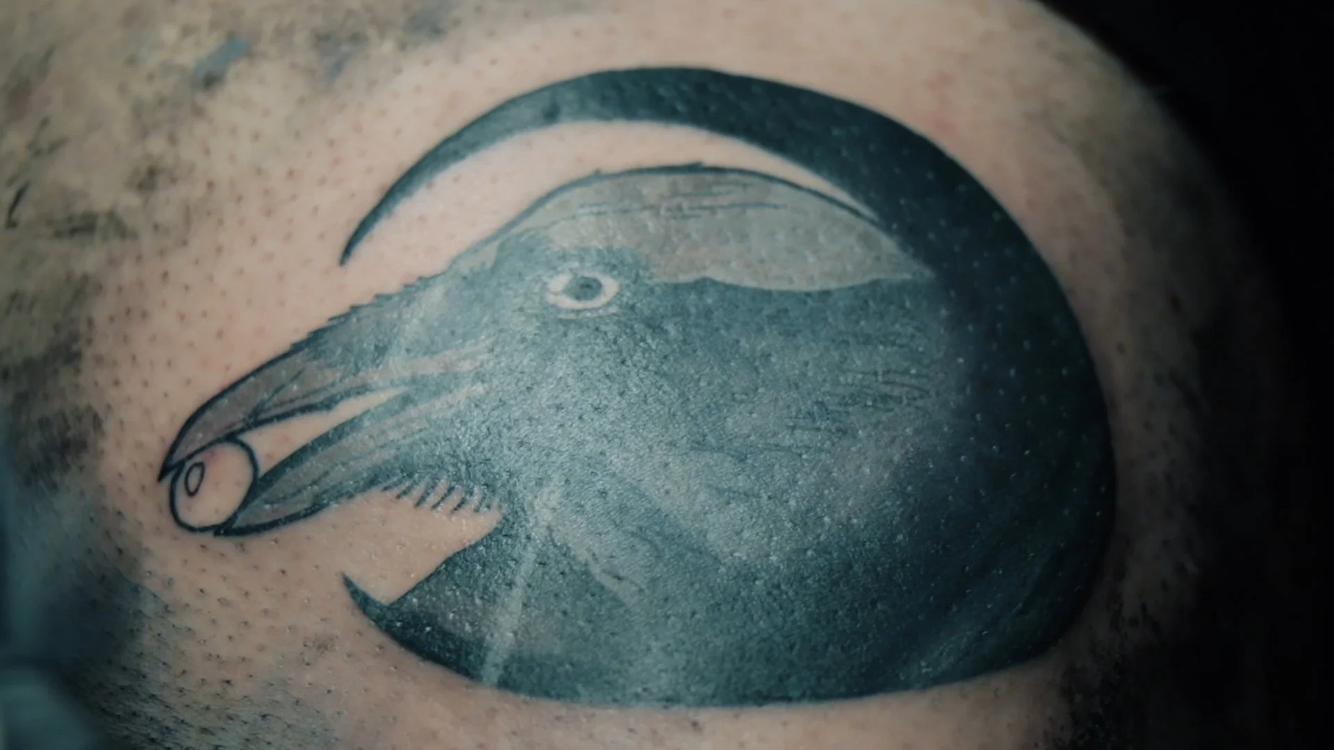 Still 2025-04-02 201702_1.2.5.jpg