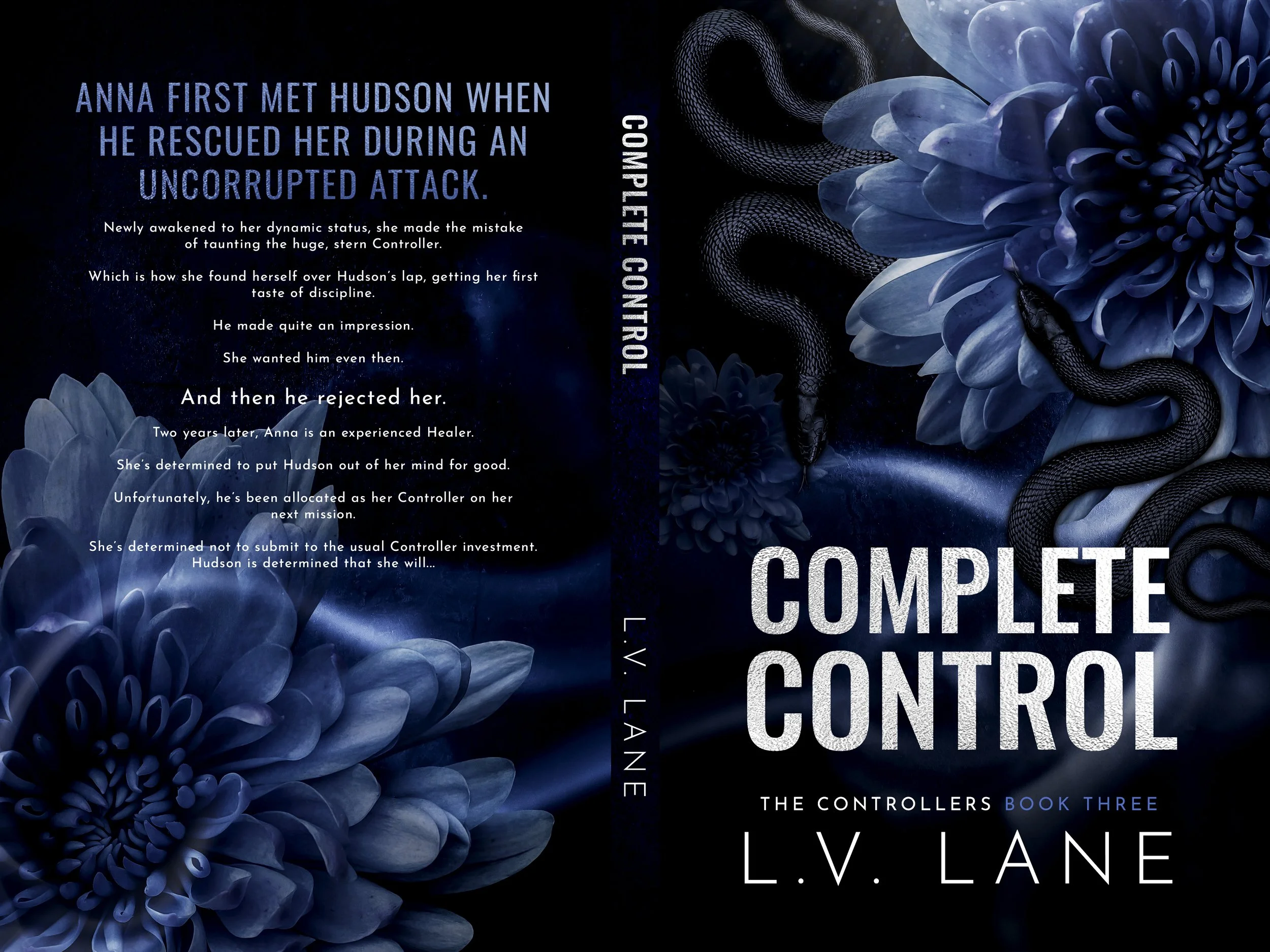 LVL3-Complete Control (Anna 1).jpg