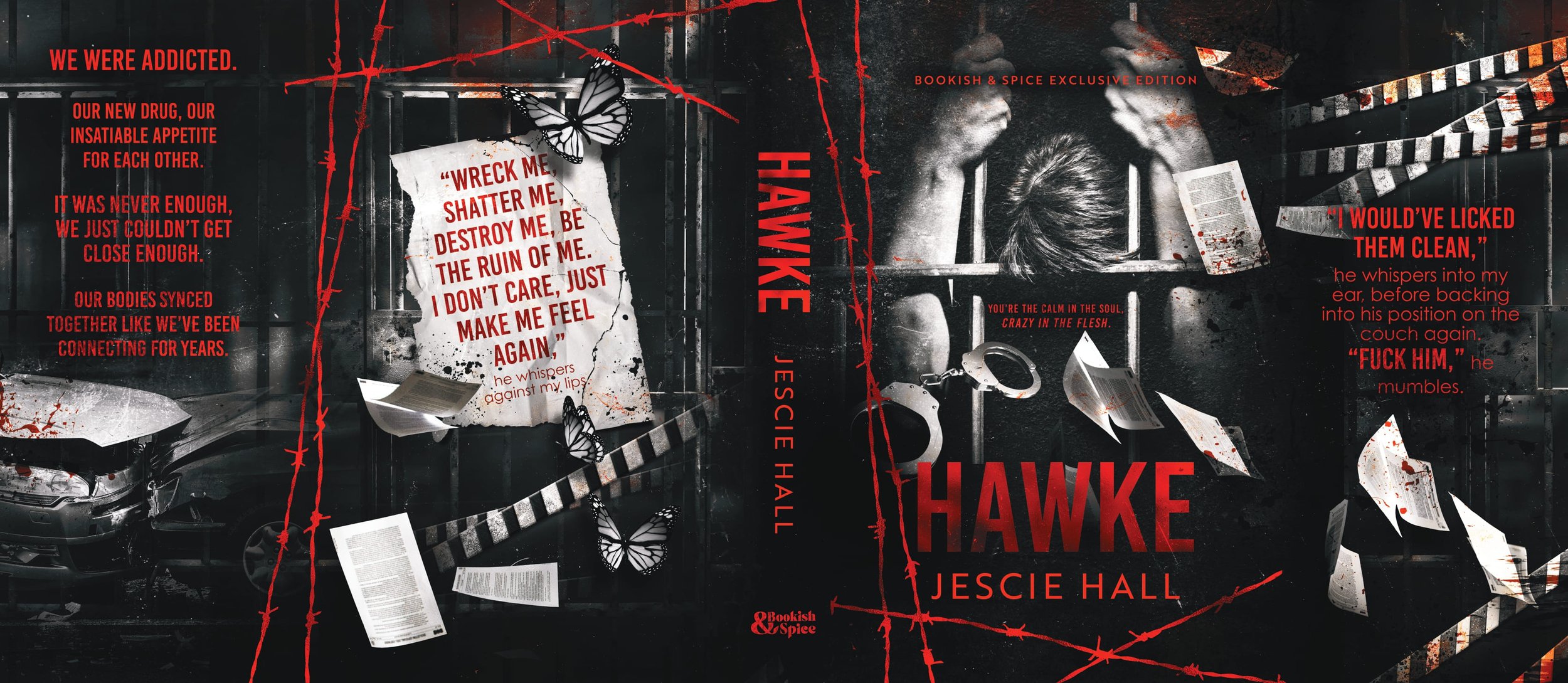 Hawke Dust Jacket File 1-page-00001.jpg