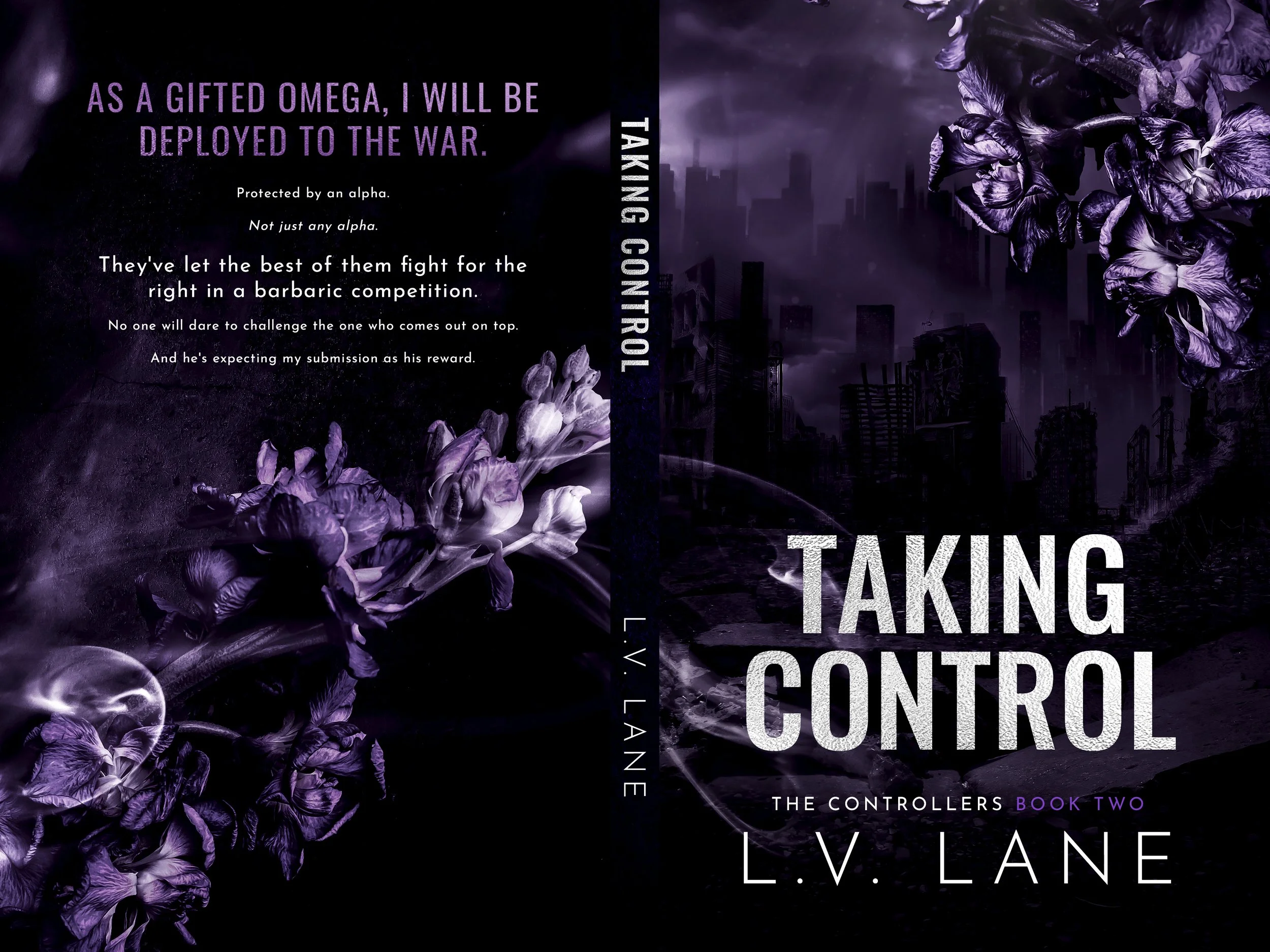 LVL2-Taking Control.jpg