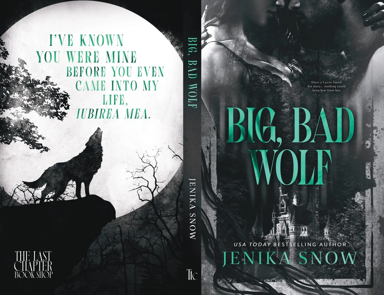 Big Bad Wolf File 1-page-00001.jpg