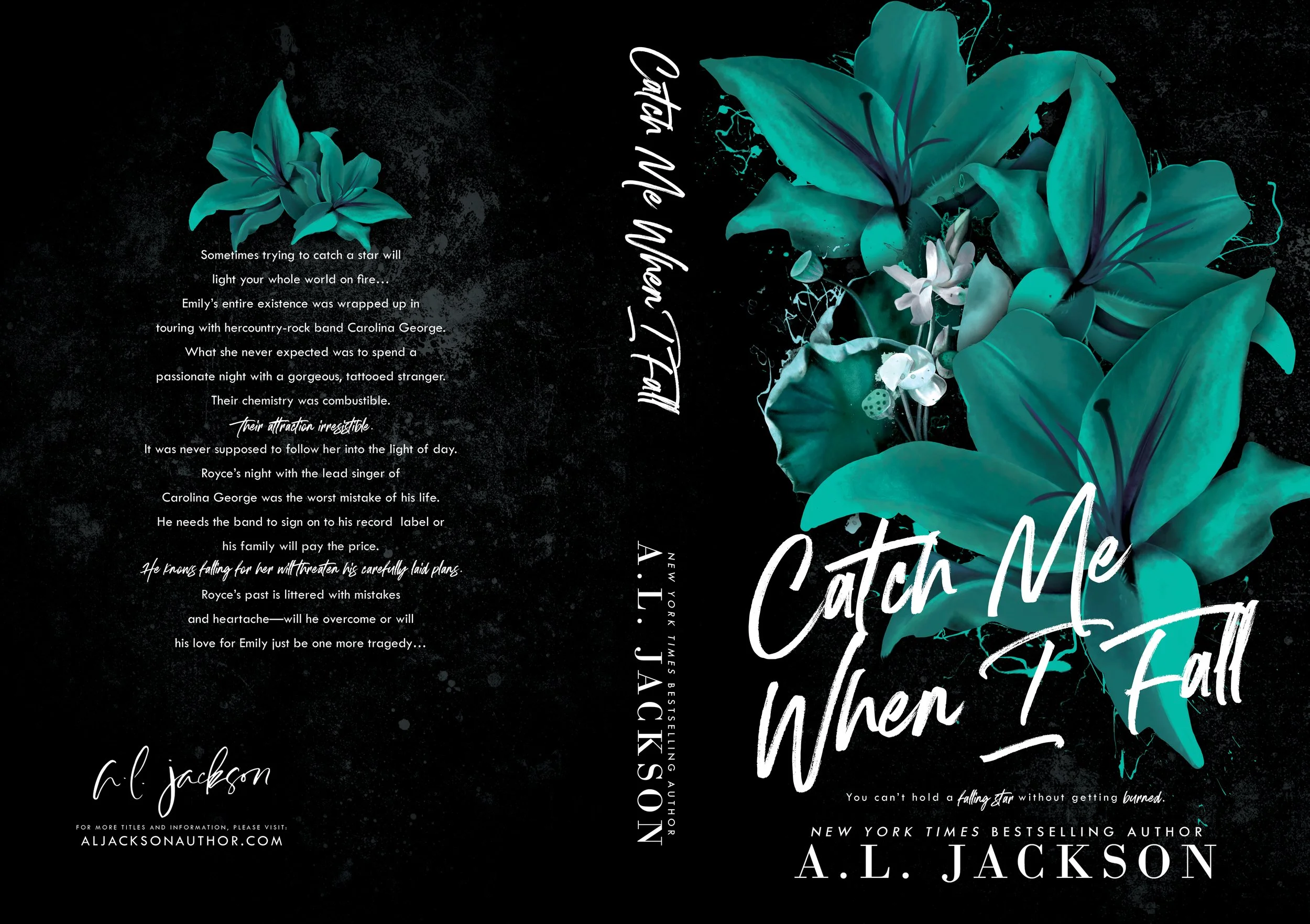 ALJ2 - Catch Me When I Fall - PB.jpg