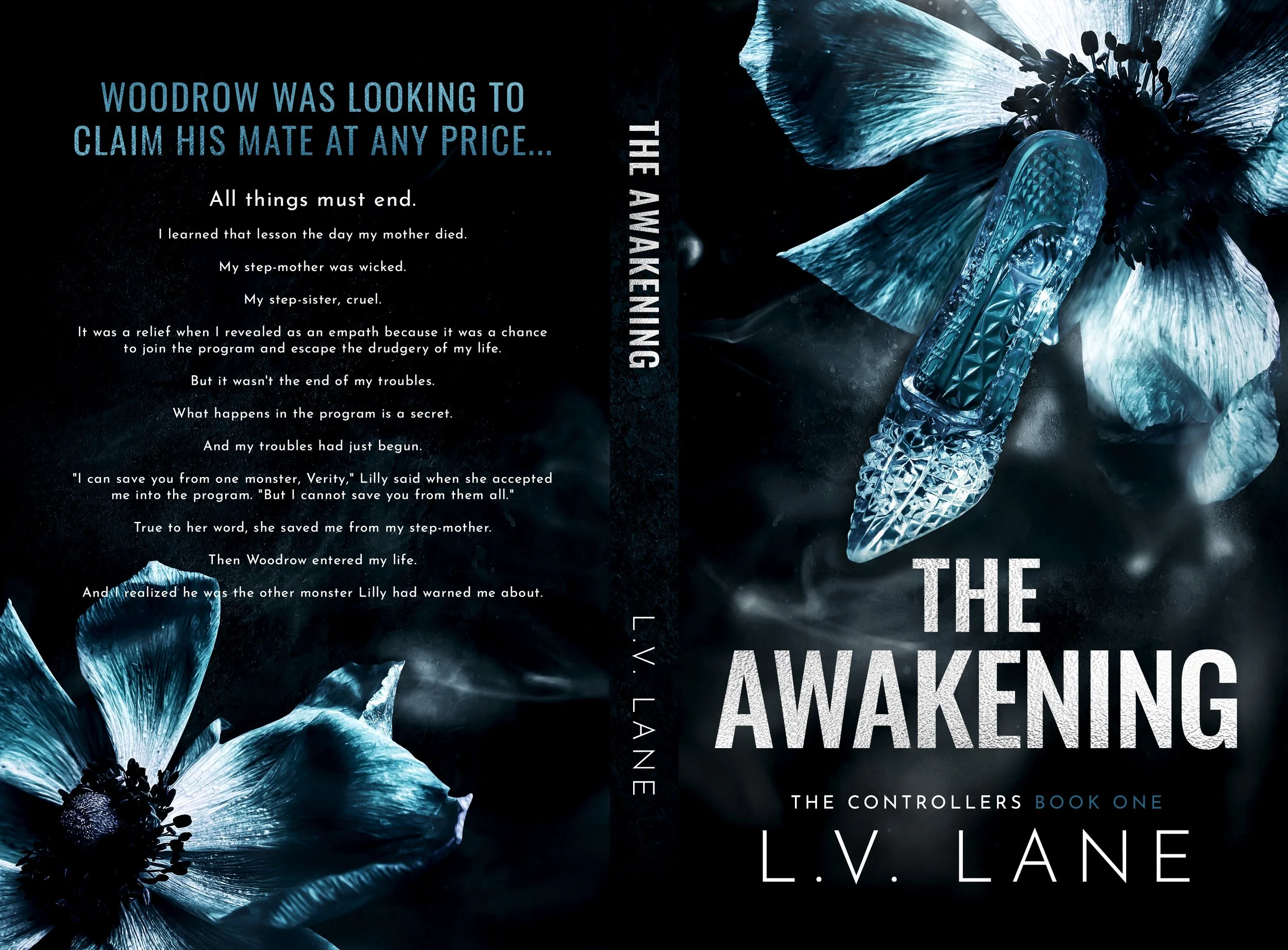 LVL1-The Awakening.jpg
