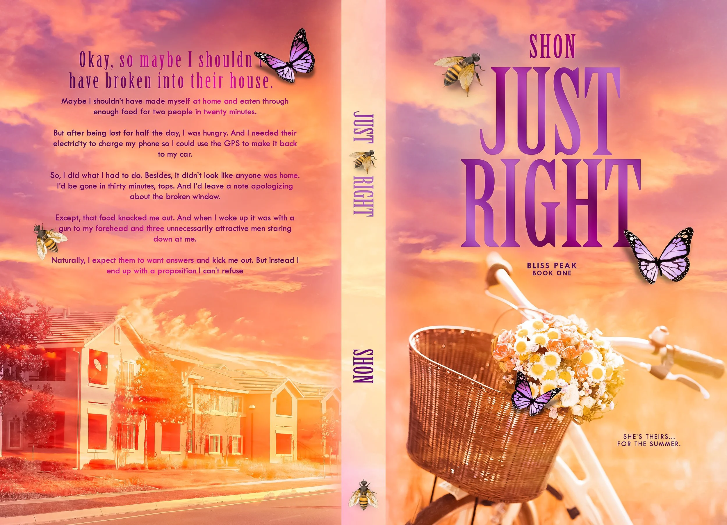 Shon - Just Right (Cover Image).jpg