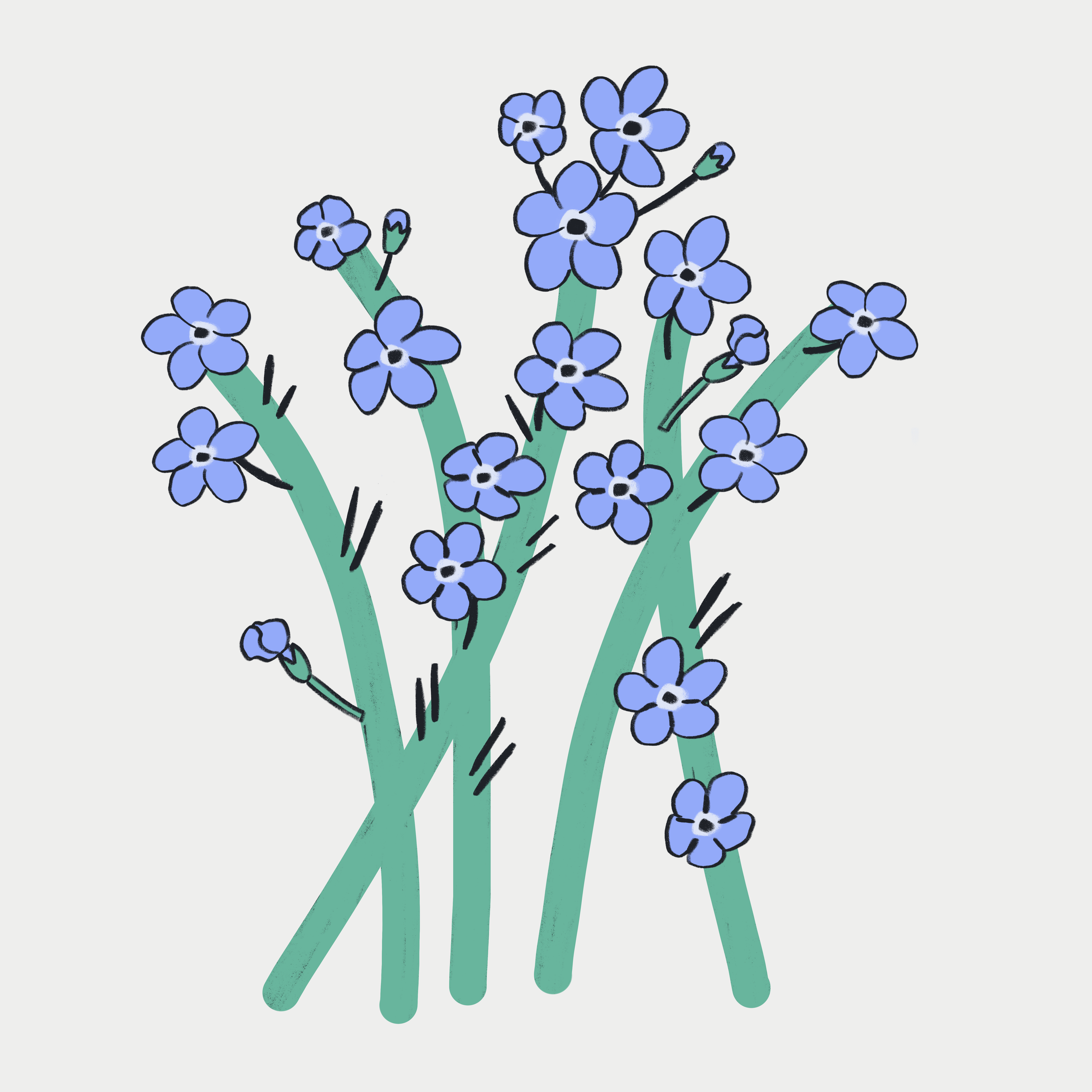 Illustration_sans_titre 2.png