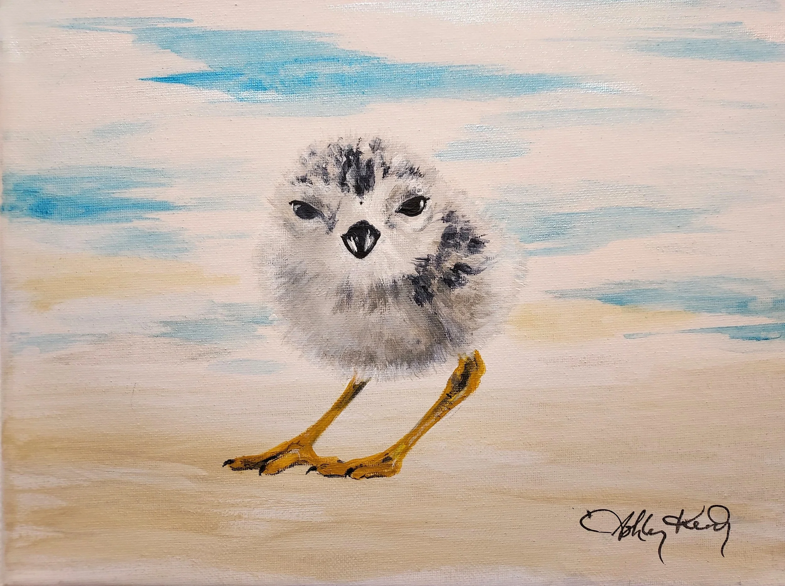 piping plover, zig zag floof, plover chick, plover art, ashleykennedyart, frailecito silbador, painting