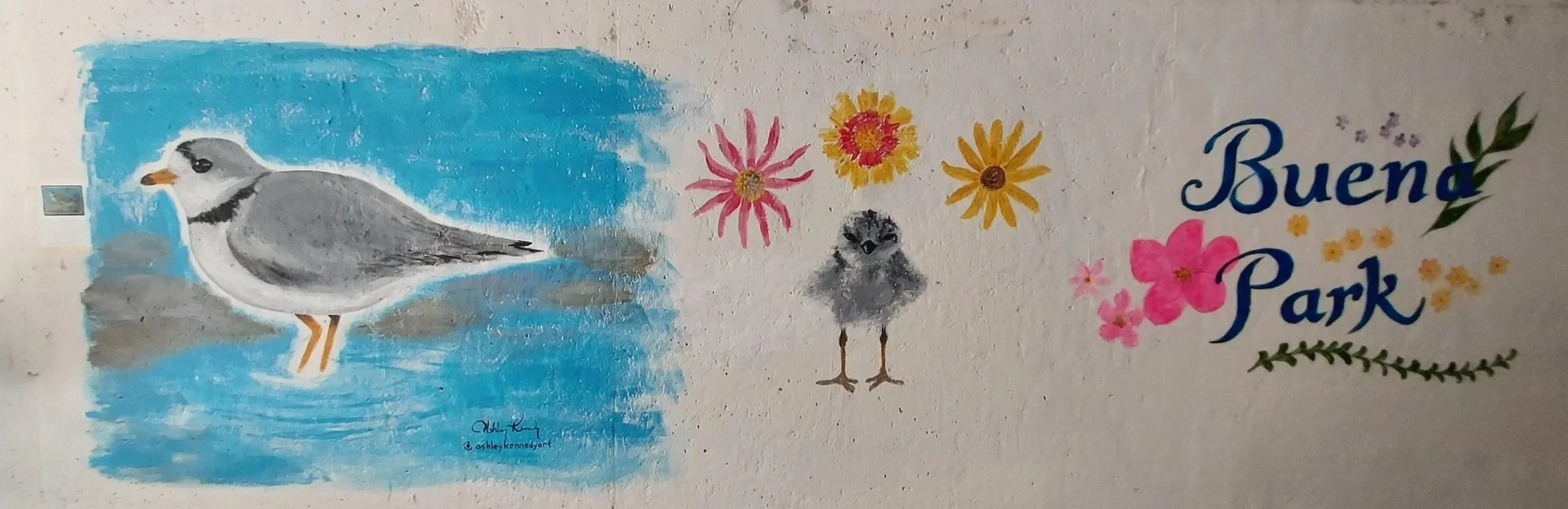 piping plover mural, chicago, buena park, WBBM, carolina garibay, 46th ward, peace garden, nagamo, searocket, imani, montrose beach