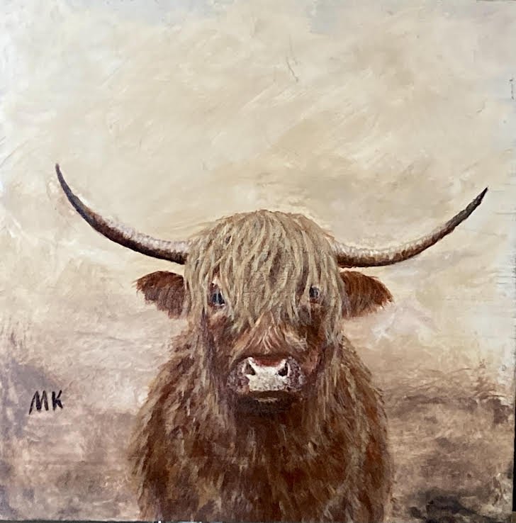 Highland Cow