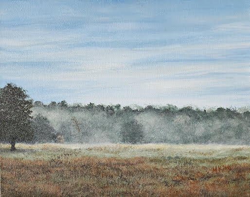 Foggy Morning