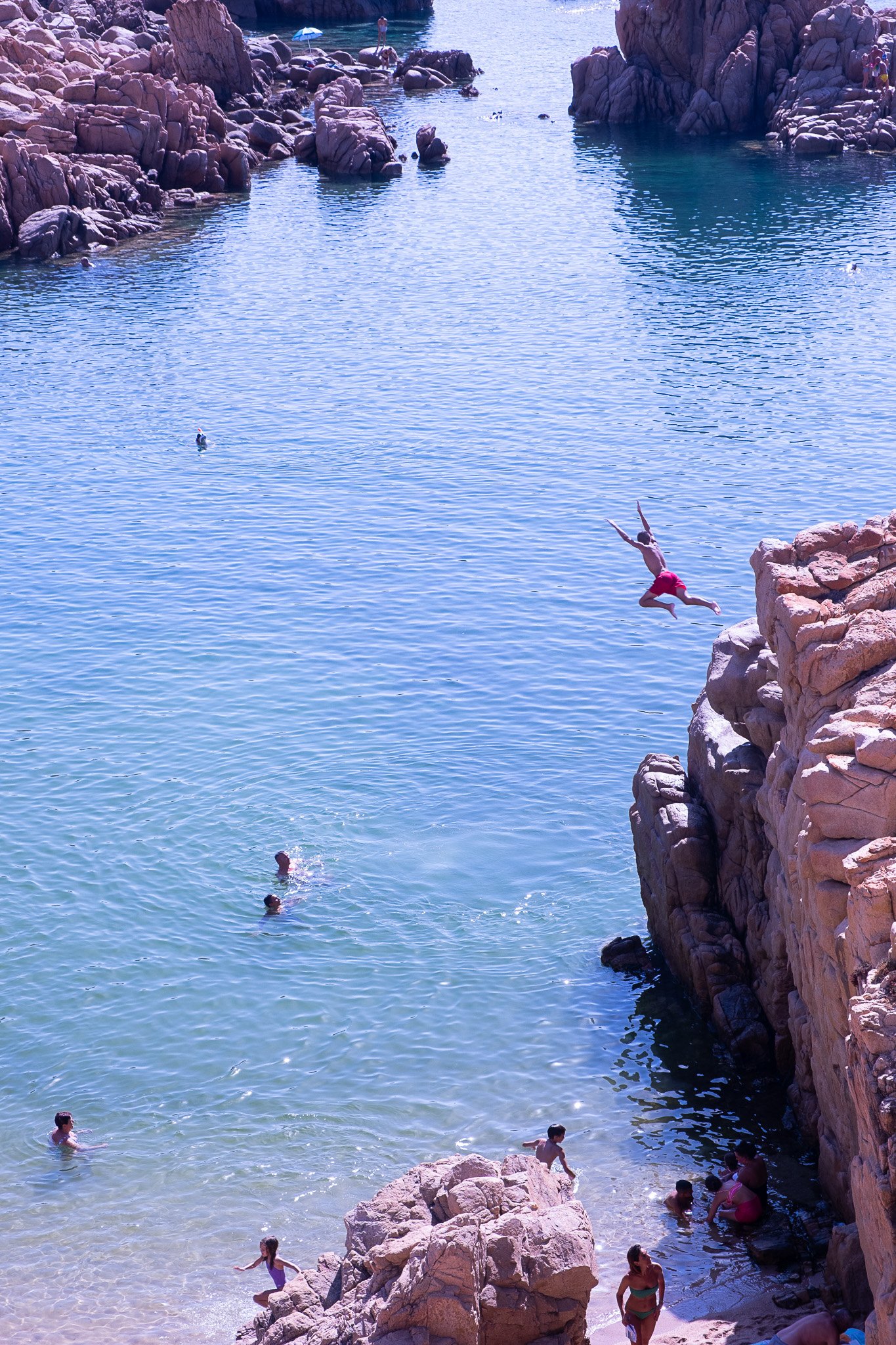 Salto!.jpg