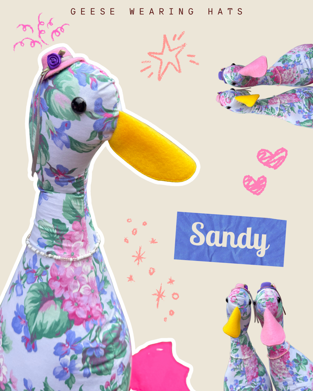 Sandy.png