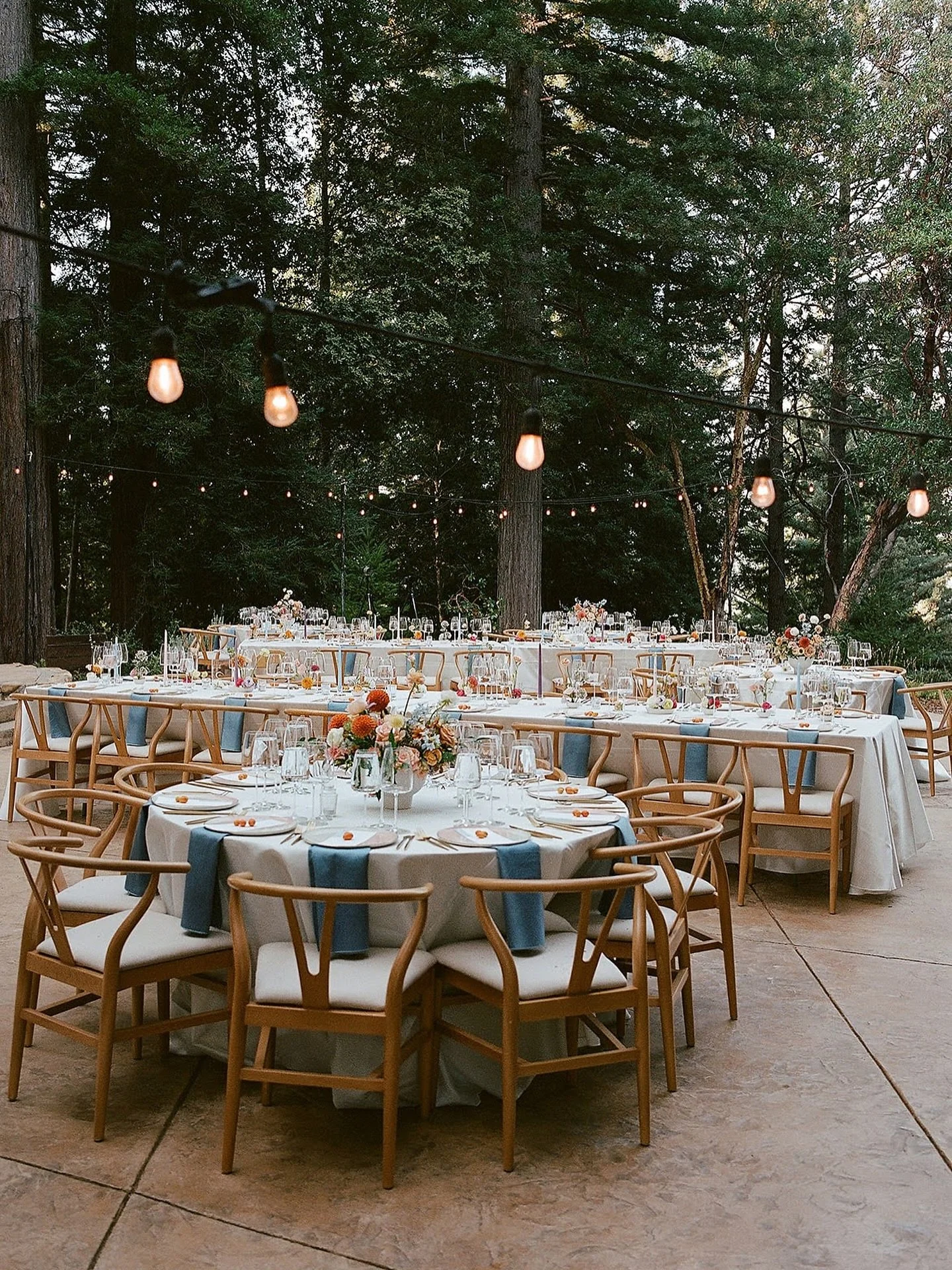 Your wedding deserves more than a plan - it deserves a ✨vision✨

Our in-house design add-on means we curate every detail, from colour palette to tablescape, to create a cohesive + unforgettable experience. Effortless planning meets intentional design