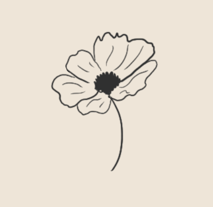 Minimal black and white floral line illustration used as branding artwork for sachi & maia.