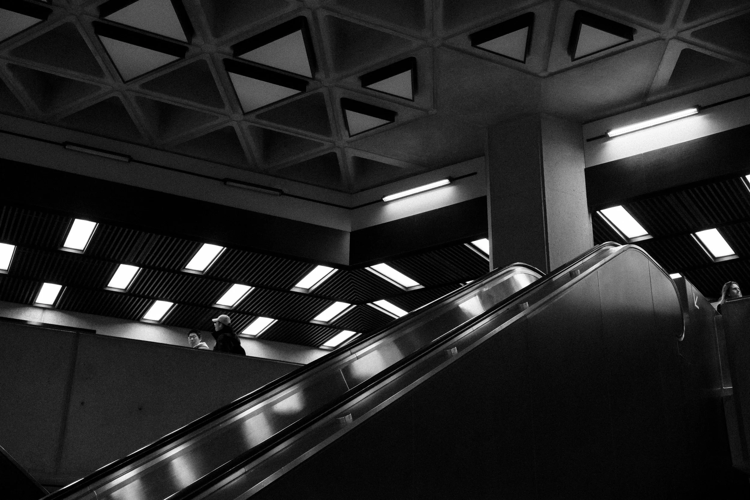 Toronto the Brutal-11.jpg