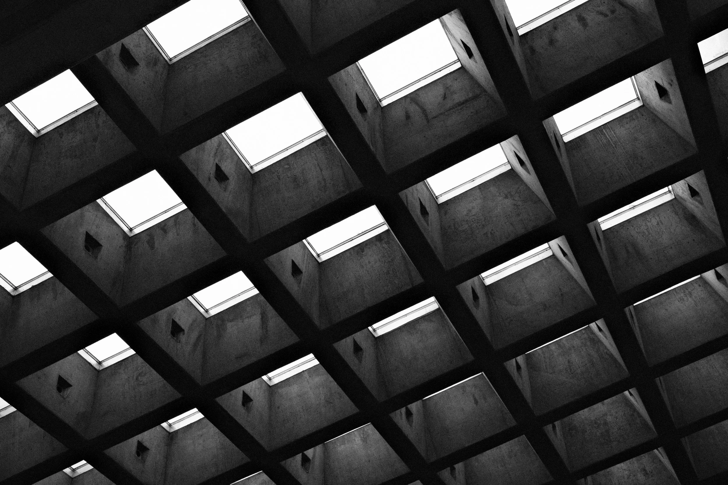 Toronto the Brutal-3.jpg