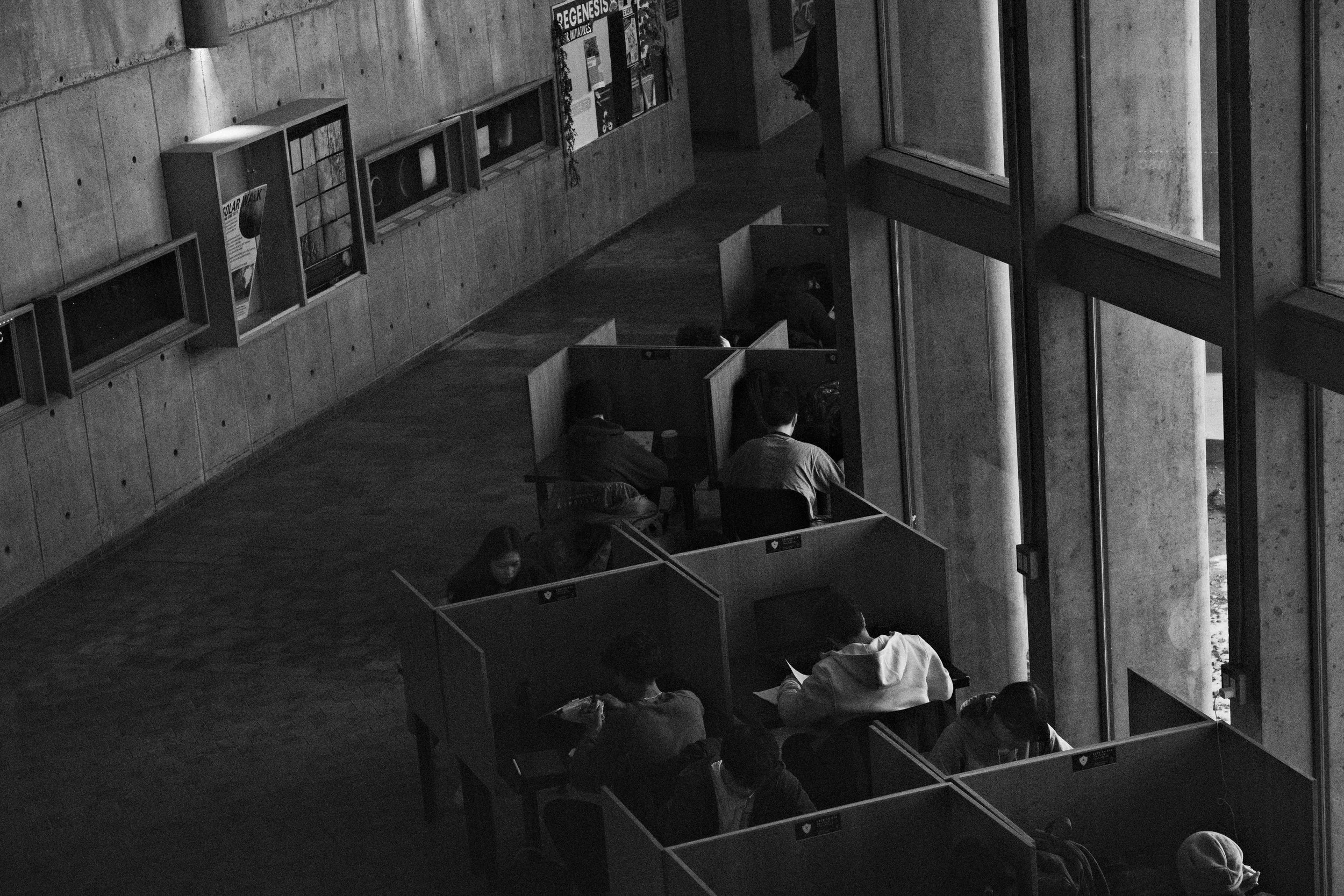 Toronto the Brutal-8.jpg