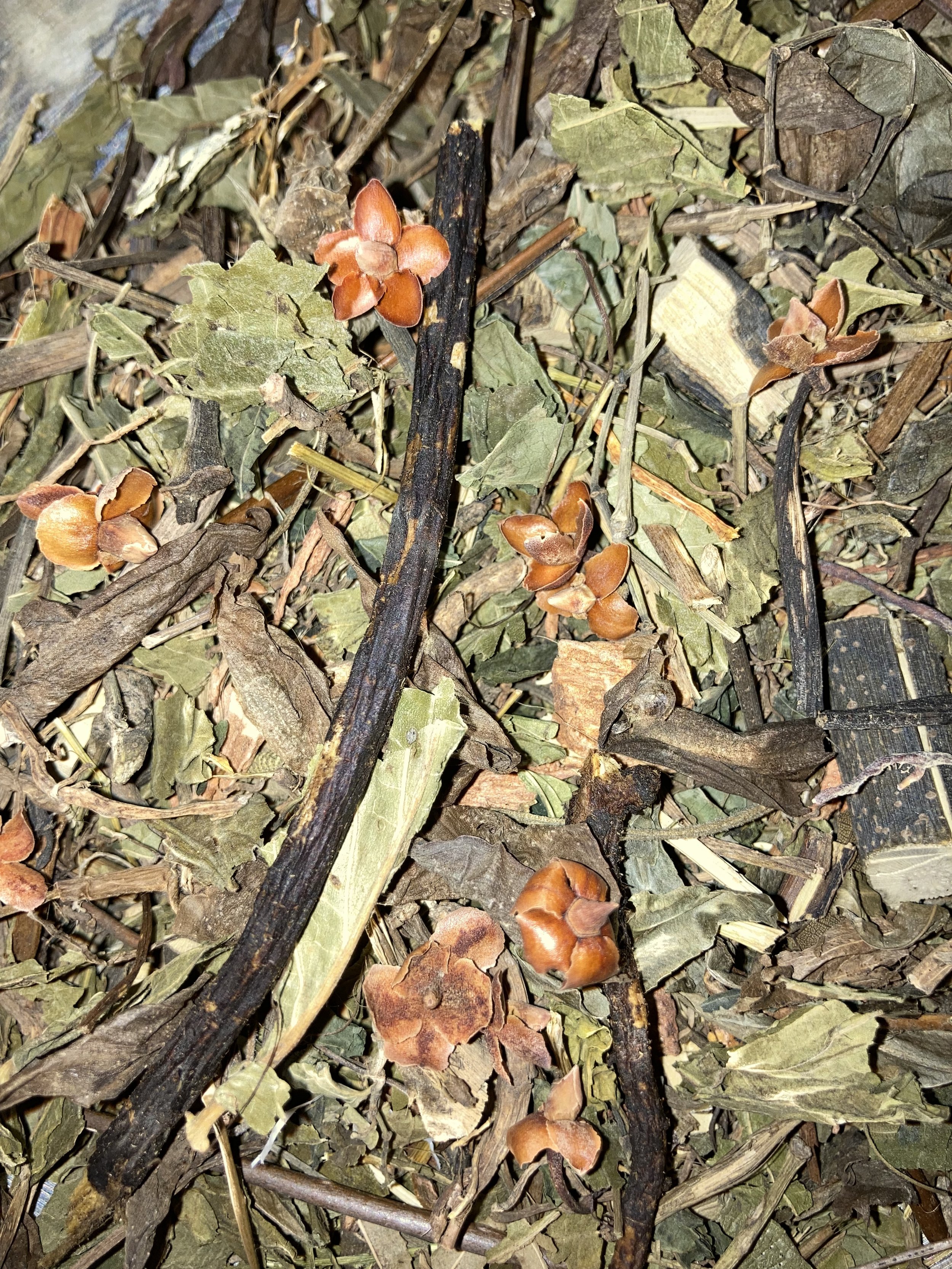 Anti-Pandemic Blend