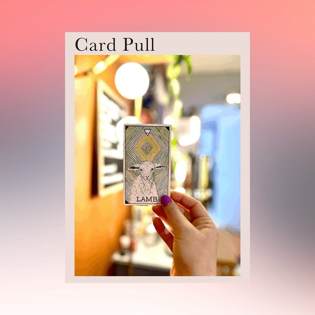 Sometimes we get a little freaky and pull cards during an acupuncture session, and it makes sense: card pulling requires being in a particular space, and I live in that zone while I work.
&zwnj;
But I also get requests for pulls outside of the treatm
