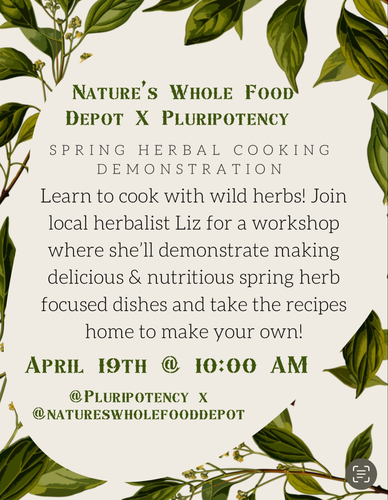 Cooking with spring herbs