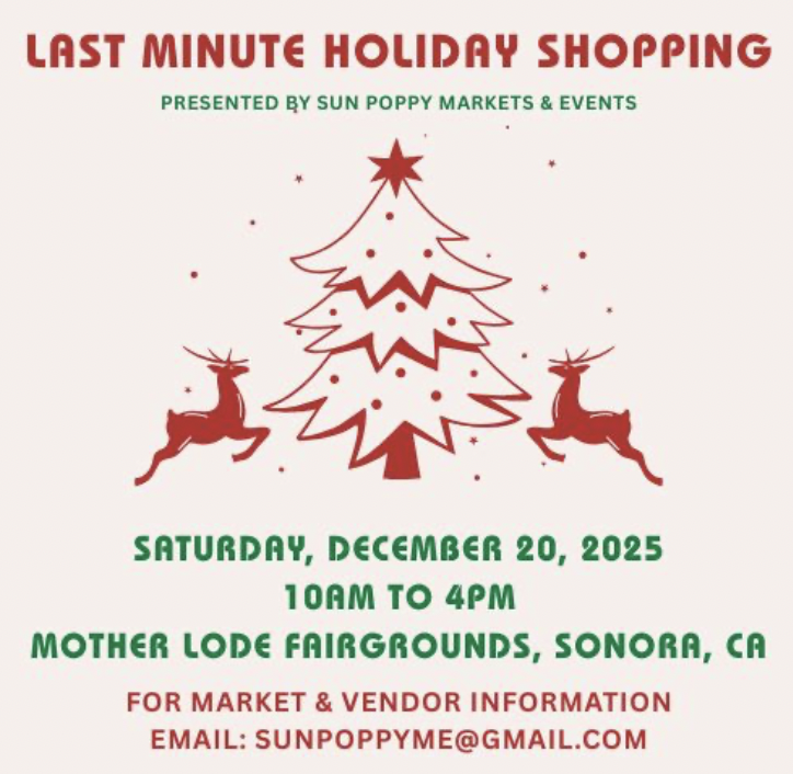 Last Minute Holiday Shopping 