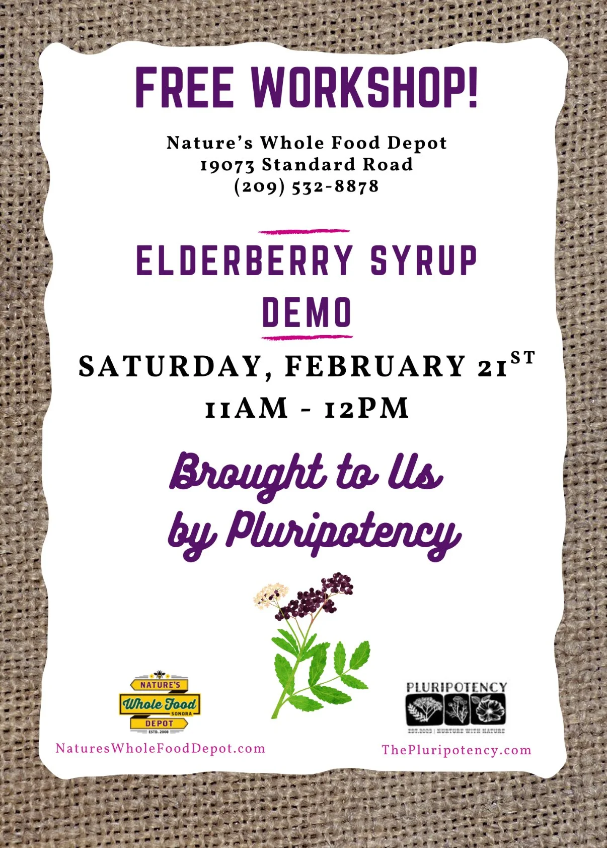 Elderberry Syrup Class @ Nature's Whole Food Depot