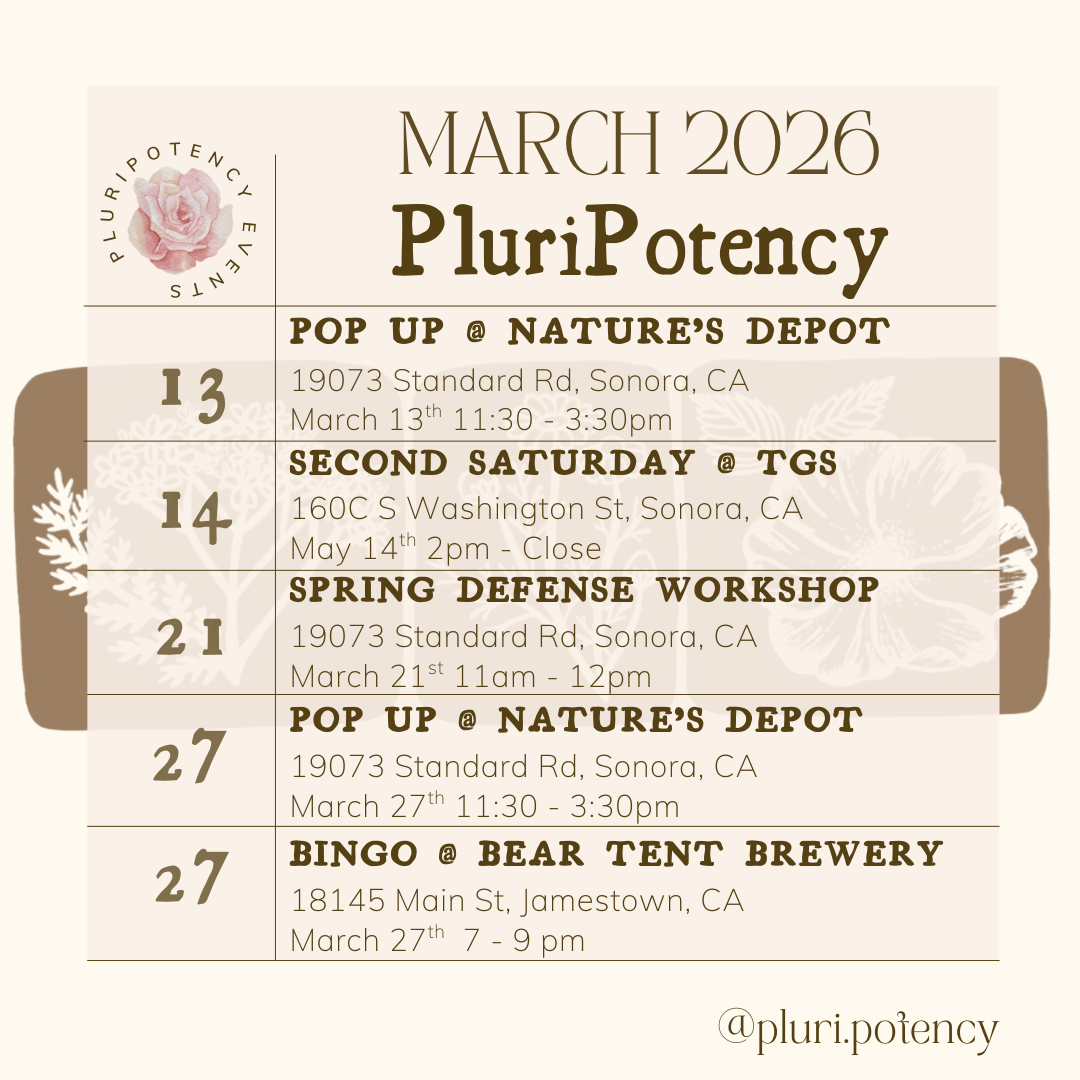 Pop Up Shop @ Nature's Whole Food Depot 