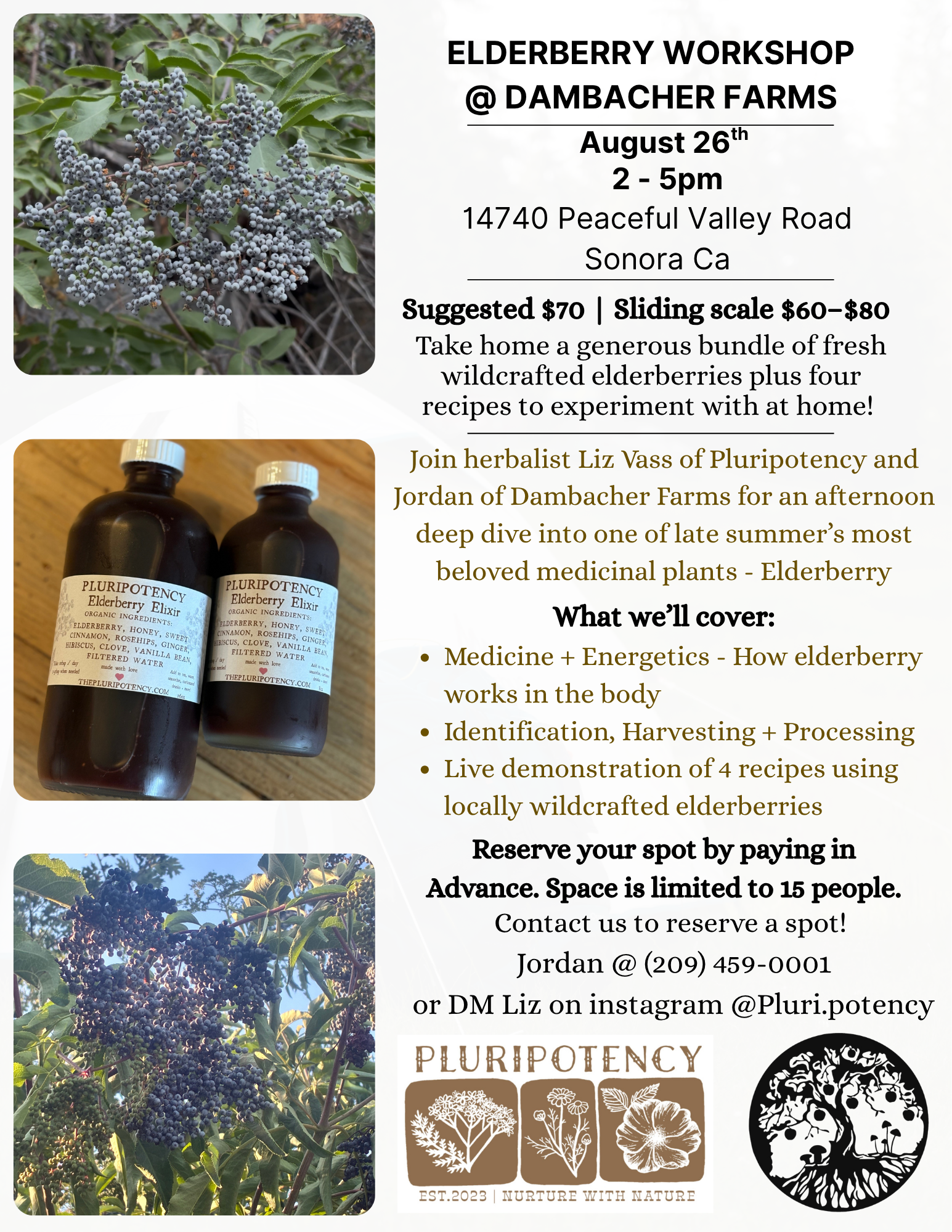 Elderberry Syrup Workshop 