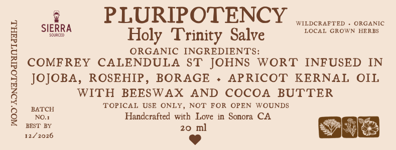 Holy Trinity Salve.png