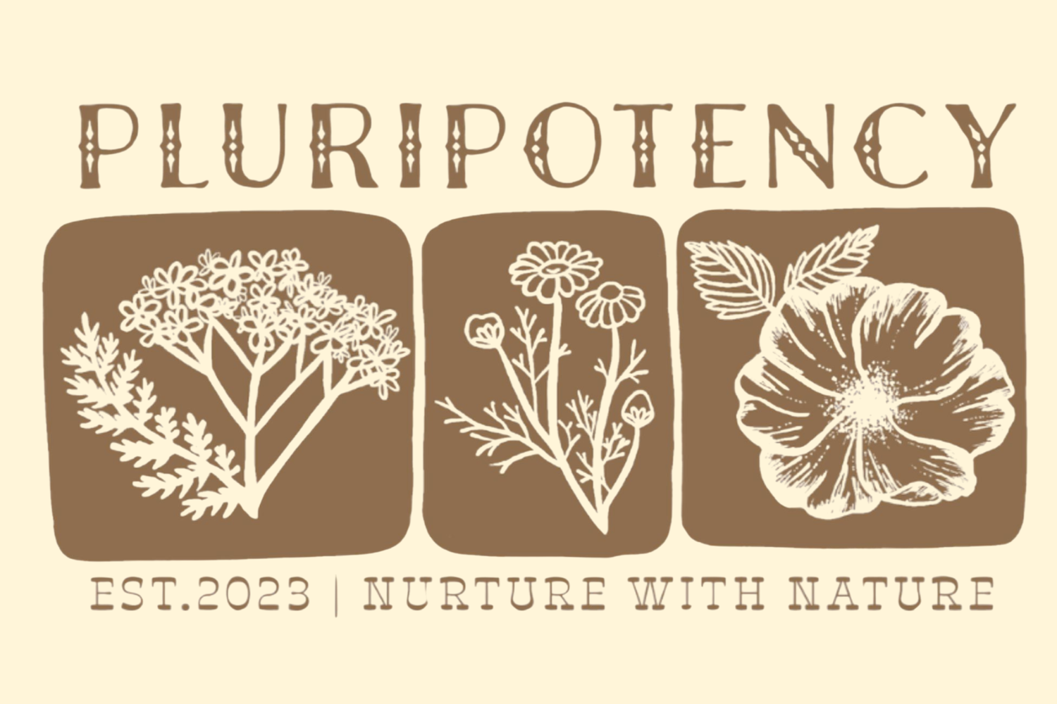 Pluripotency