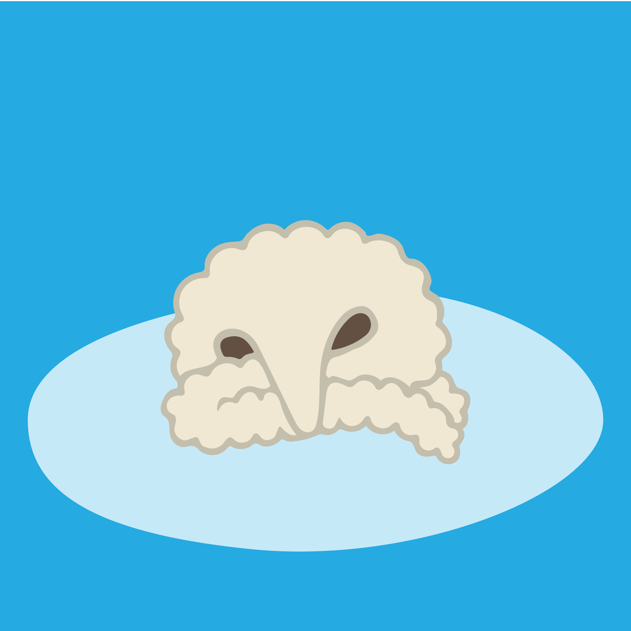 pets_Artboard 8@3x.png