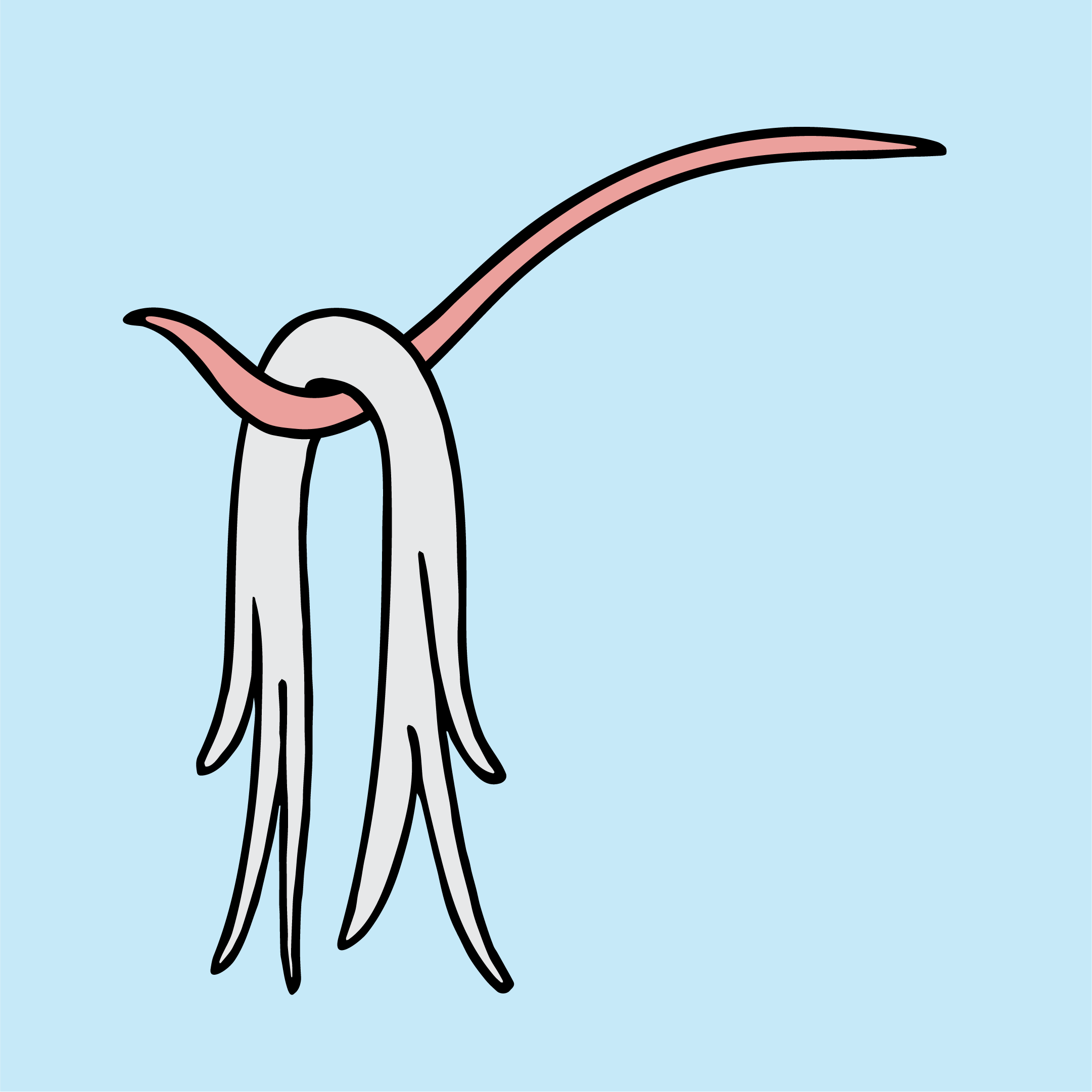 hang-wings@3x.png