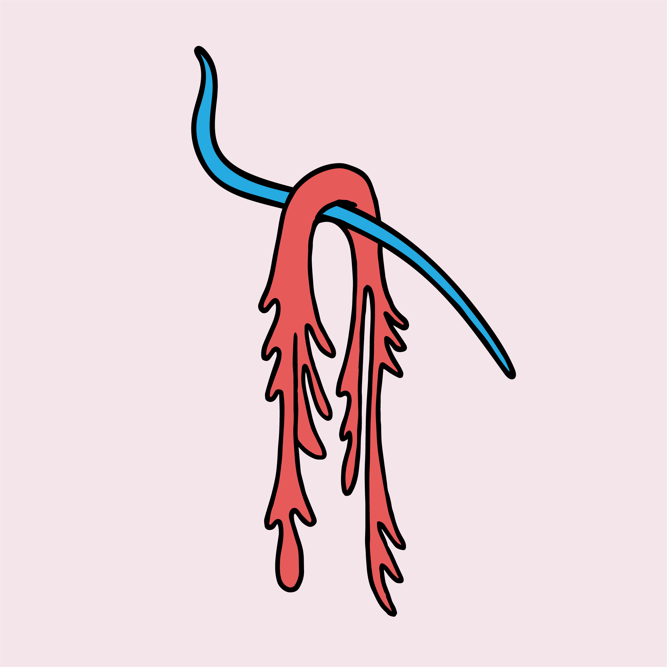 hang-seaweed@3x.png