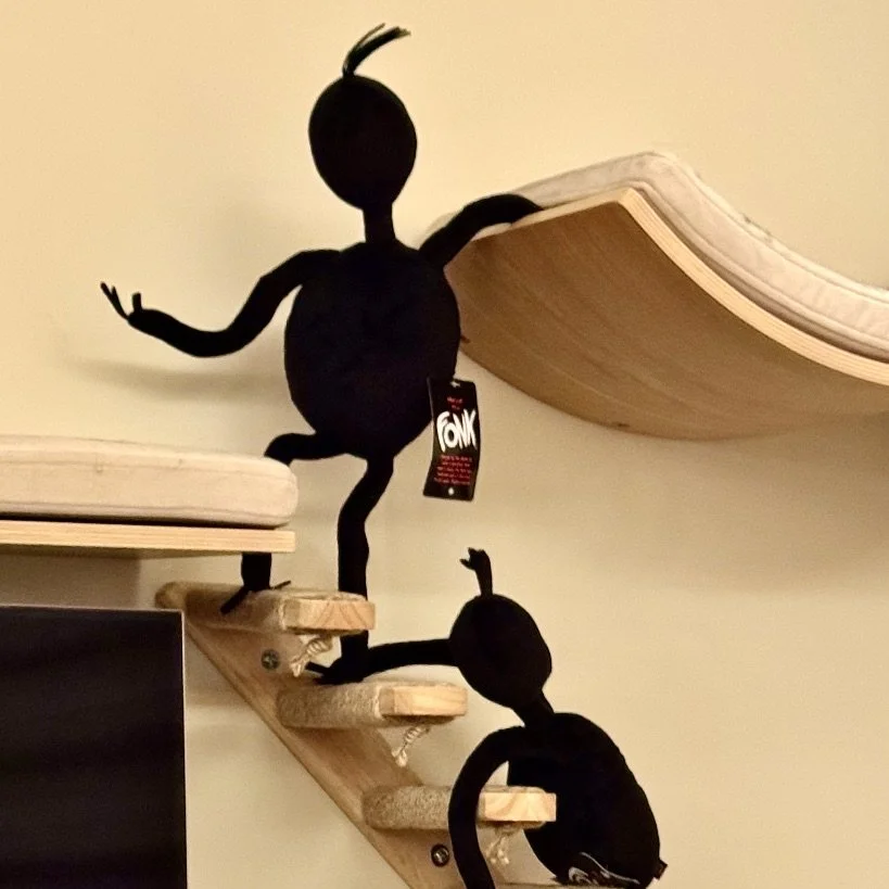 "The fonks are cool!" - Phil B. Los Gatos CA