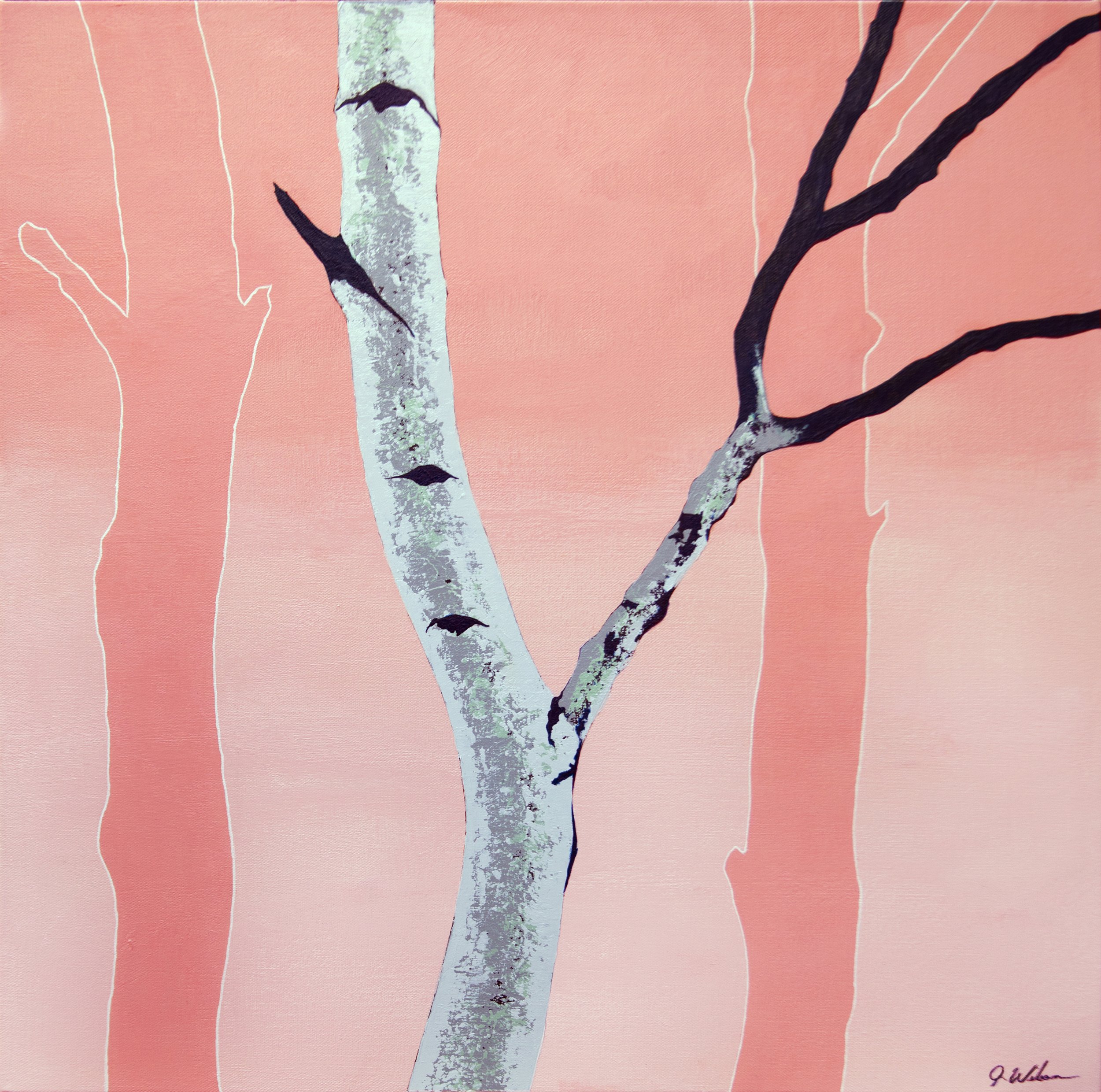 Spring Birch