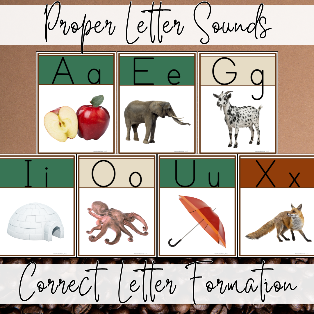 Starbooks Coffee Classroom Decor, Alphabet Posters with Real Pictures | PK, Kindergarten, 1st Grade, 2nd Grade