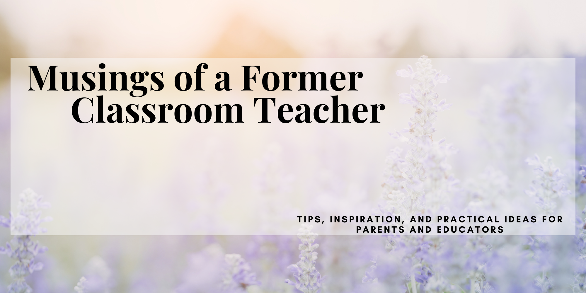 Blog by a former public school teacher sharing homeschool learning ideas, teaching strategies, and printable resources