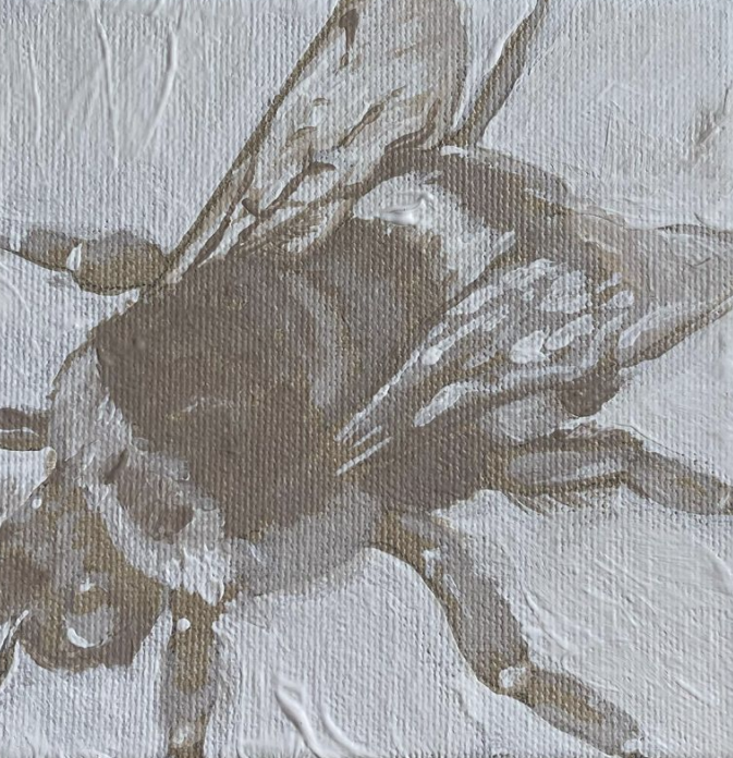 Screen Shot 2022-01-27 at 9.41.36 AM.png