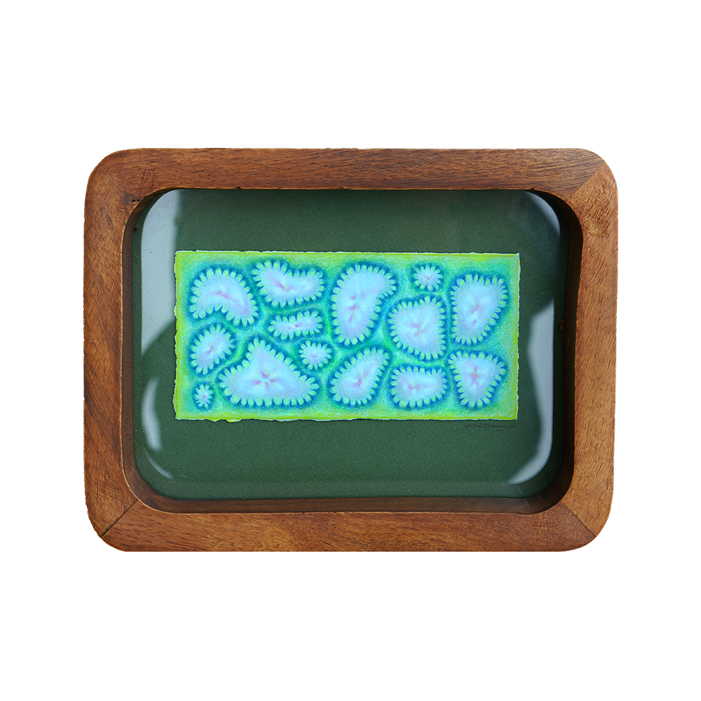 weshare-web1.png